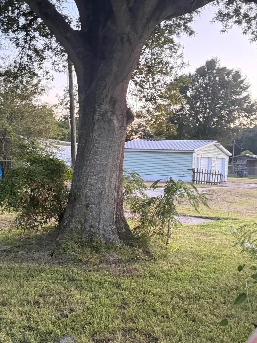 1102 Vincent Street, Vinton, LA 70668 - #3