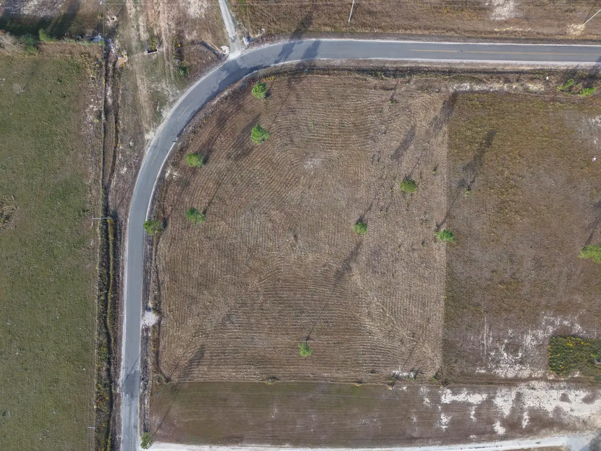 Tbd Camp Edgewood Rd, Dequincy, LA 70633 - #1