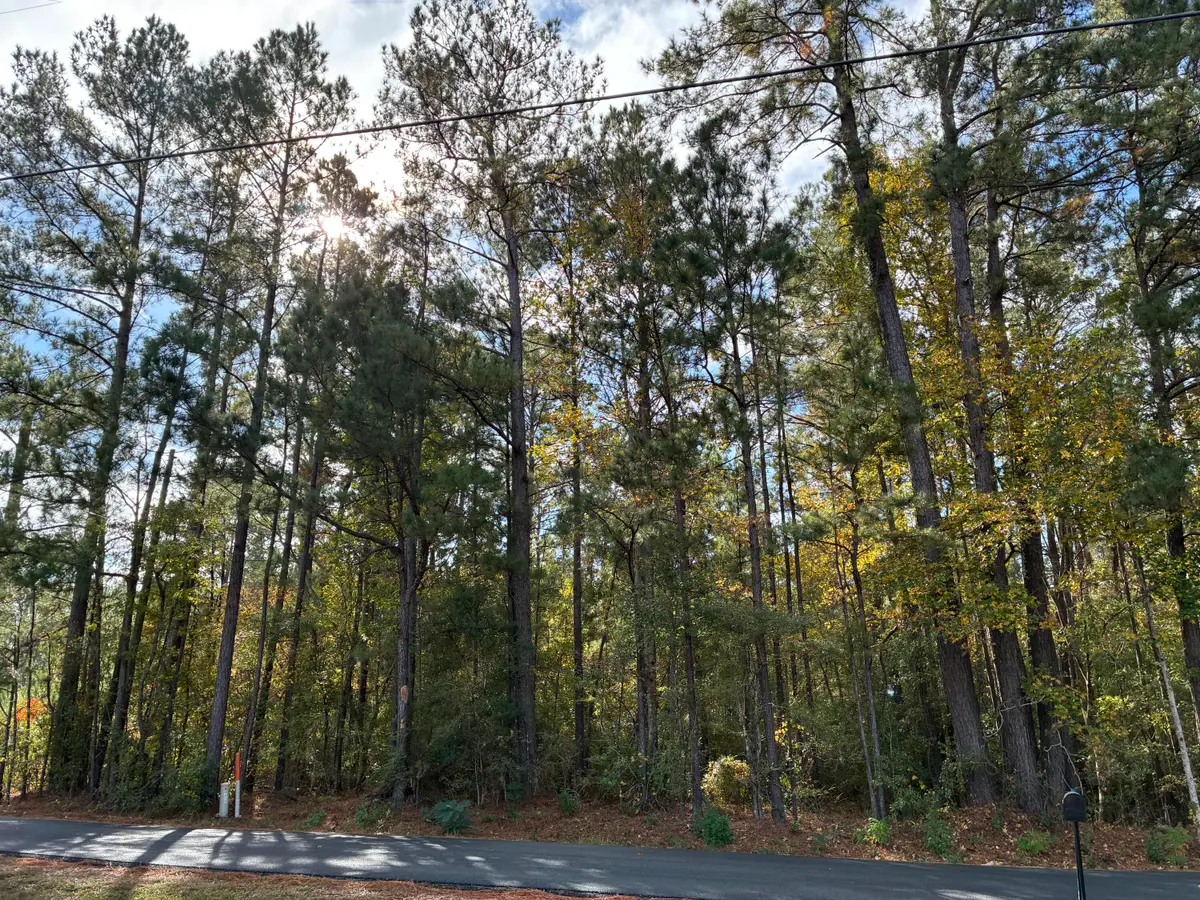 Section Line Road, Leesville, LA 71446 - #1