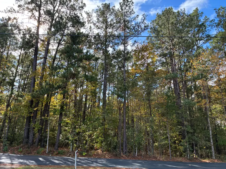 Section Line Road, Leesville, LA 71446 - #2