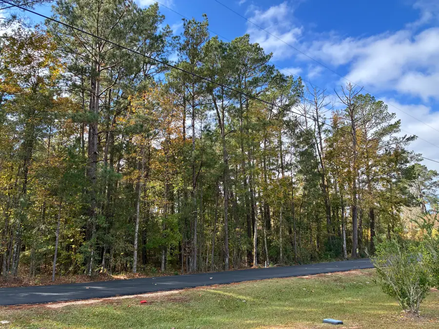 Section Line Road, Leesville, LA 71446 - #3