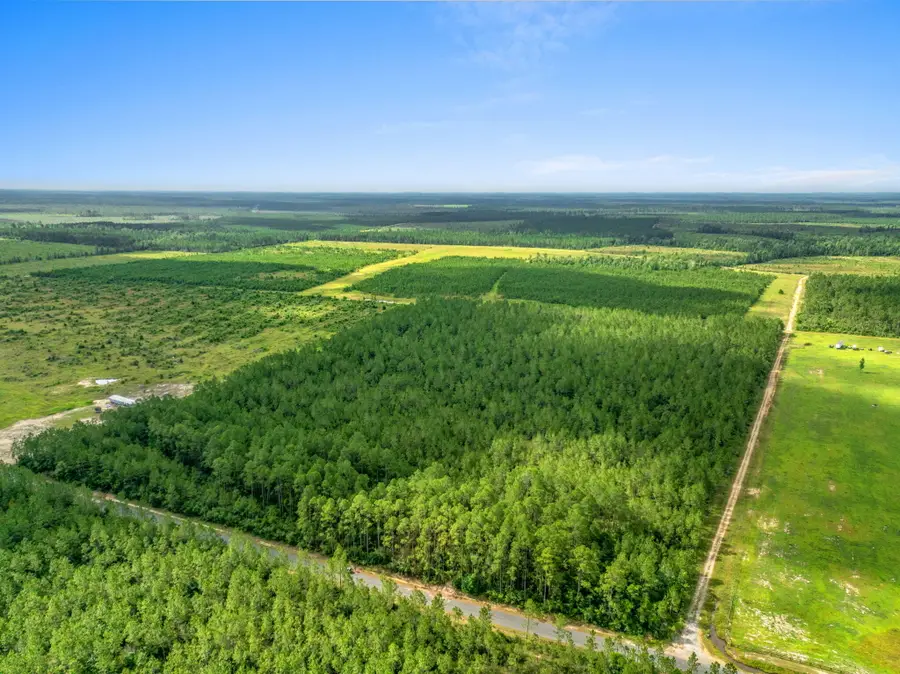 Rea Road, Deridder, LA 70634 - Image #3