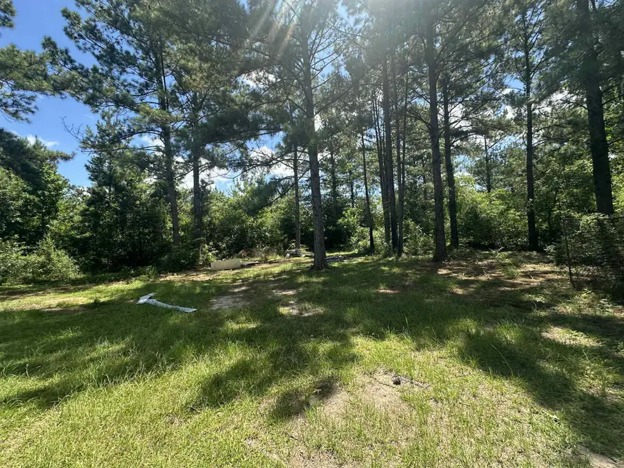 Greentown Rd, Deridder, LA 70634 - Image #3