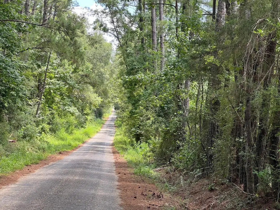 Tom Bruce Rd, Longville, LA 70652 - Image #1