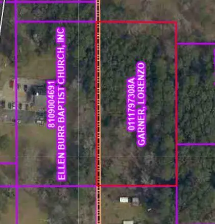 Tbd Pine, Leesville, LA 71446