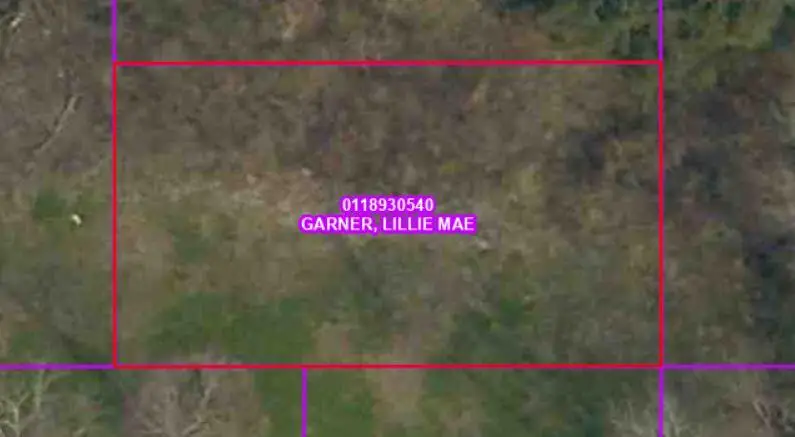 N Verone St, Leesville, LA 71446 - Image #1