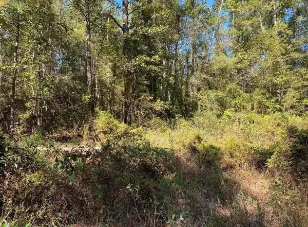 Longville Rd, Dry Creek, LA 70637