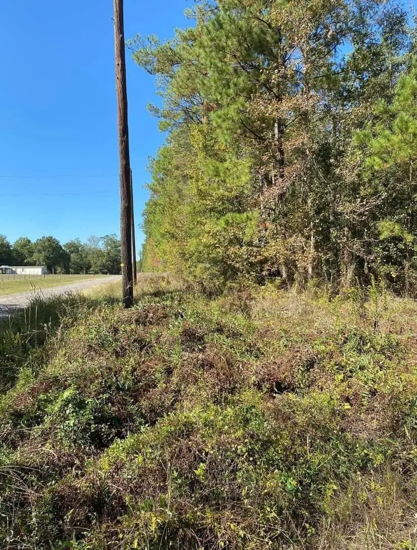 Longville Rd, Dry Creek, LA 70637 - #3