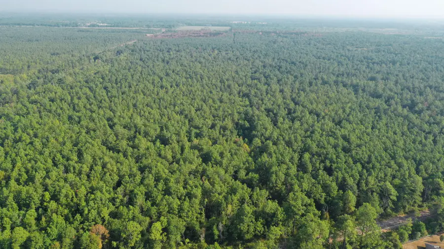 Planer Mill Rd, Deridder, LA 70634 - #3