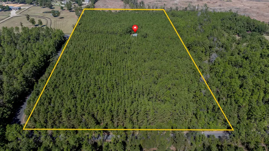 635 Jay Miller Rd, Dry Creek, LA 70637 - #2