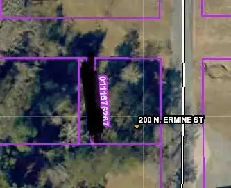 N Ermine St, Leesville, LA 71446 - #1