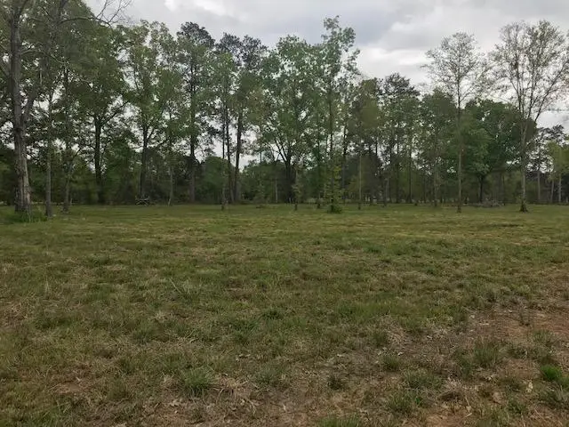 0 Hwy 107 Lot F Oak Ridge Lane Of Oak Ridge Sub, Center Point, LA 71323 - Image #2