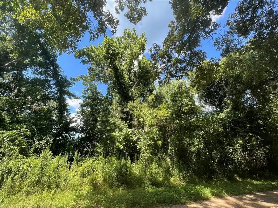 129 H.l. Newton Road, Dry Prong, LA 71423 - #3