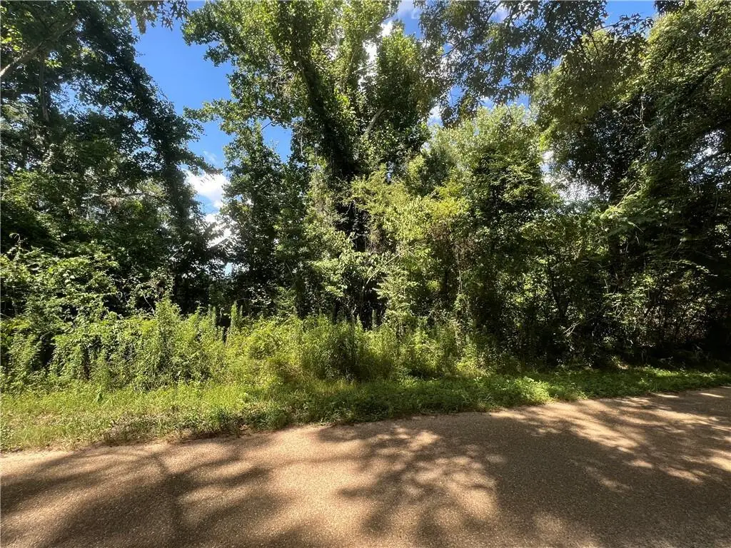129 H.l. Newton Road #2, Dry Prong, LA 71423 - #1