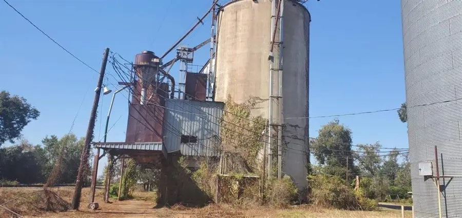 0 Highway 71 S, Cheneyville, LA 71325 - Image #2