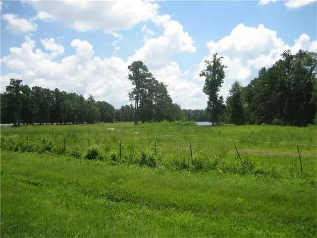 Hwy 442/i-55 Highway, Tickfaw, LA 70466 - #1