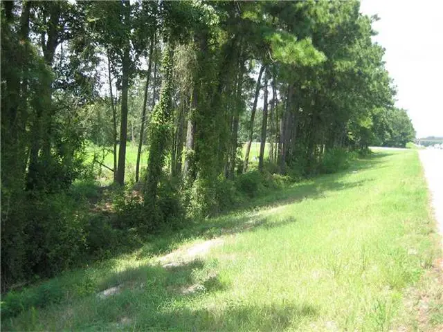 Hwy 442/i-55 Highway, Tickfaw, LA 70466 - #3