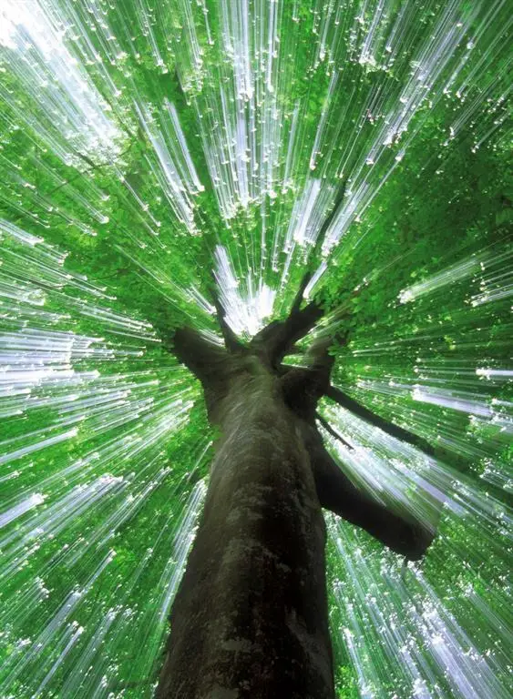 9th Street, Covington, LA 70433 - #1