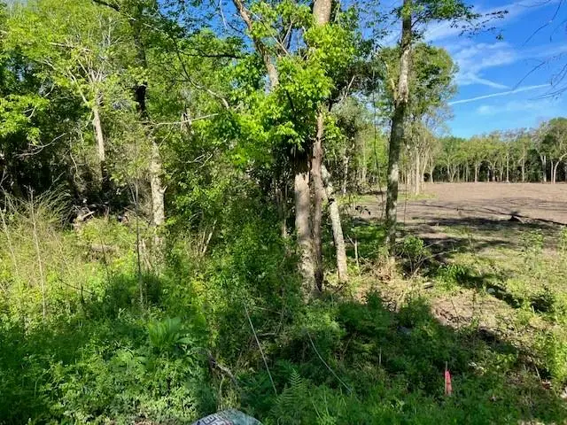 Stanton Road, New Orleans, LA 70131 - Image #3