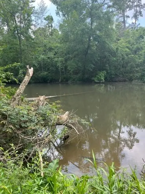 513 W 5th Avenue, Covington, LA 70433 - #2