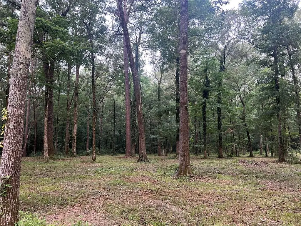 TBD Hooper Road, Deville, LA 71328 - Image #1