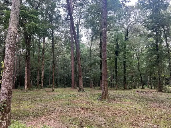 TBD Hooper Road, Deville, LA 71328