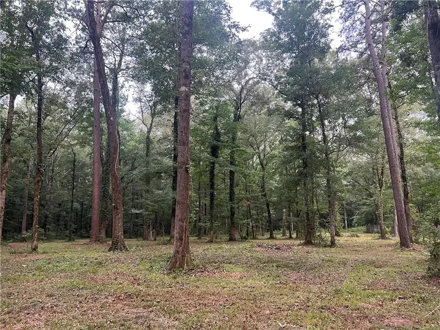 TBD Hooper Road, Deville, LA 71328 - Image #2