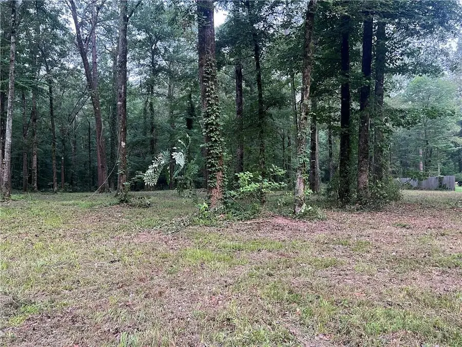 TBD Hooper Road, Deville, LA 71328 - Image #3