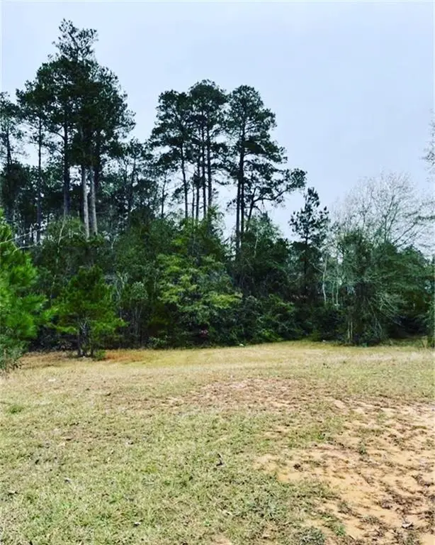 209 Chloe Road, Pineville, LA 71360 - #1