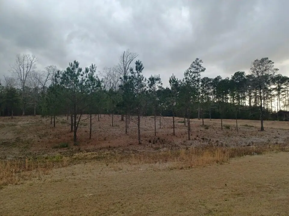 1038 Susek Drive, Pineville, LA 71360 - Image #1