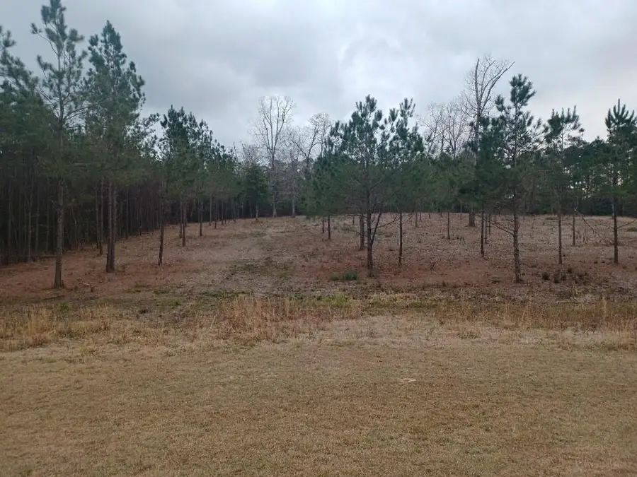 1038 Susek Drive, Pineville, LA 71360 - Image #2