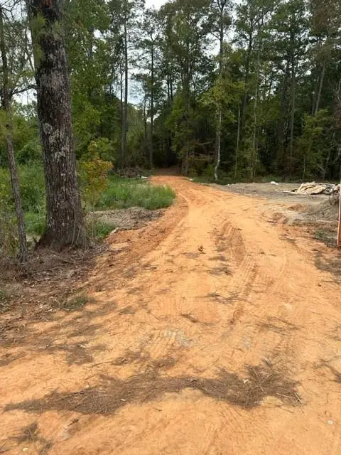 0 Williford Road, Ball, LA 71360