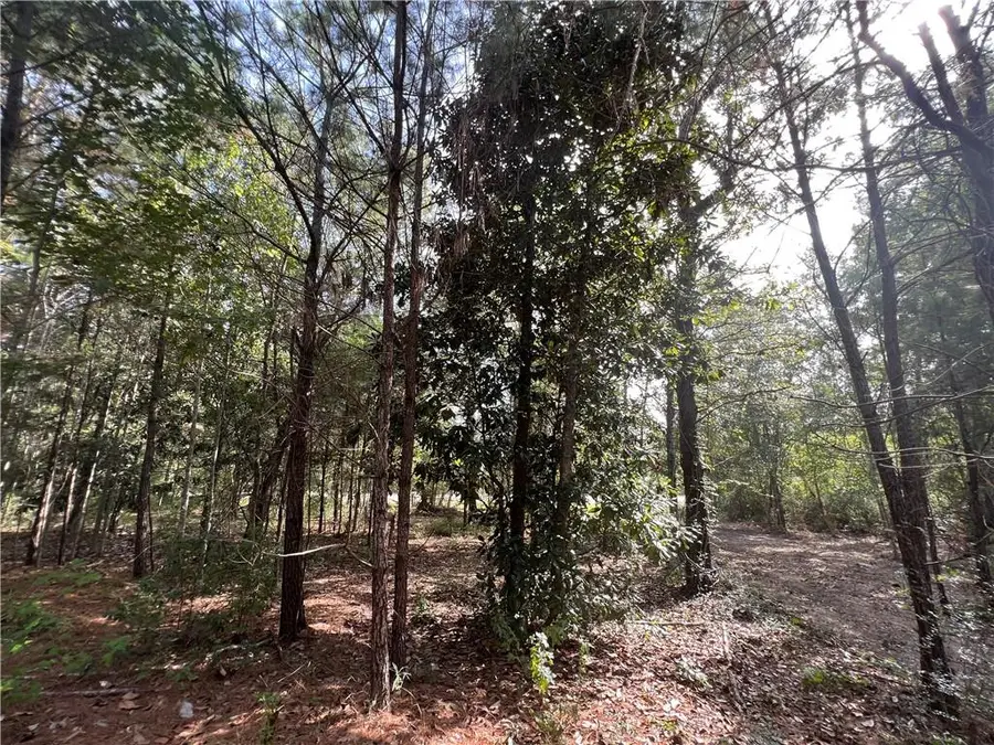 Lot Hwy 190 Sect 28 T95 R15e, Slidell, LA 70461 - #3