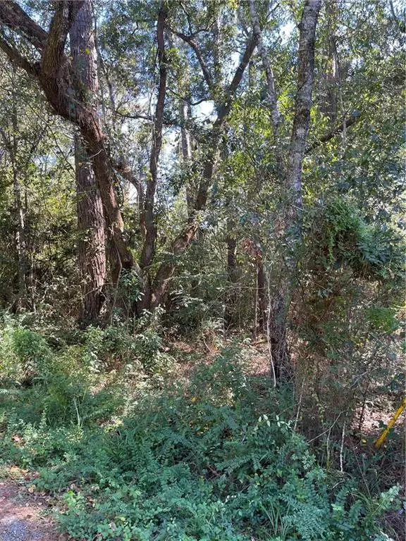 Lots 6-11 Joel Drive, Slidell, LA 70460 - Image #2