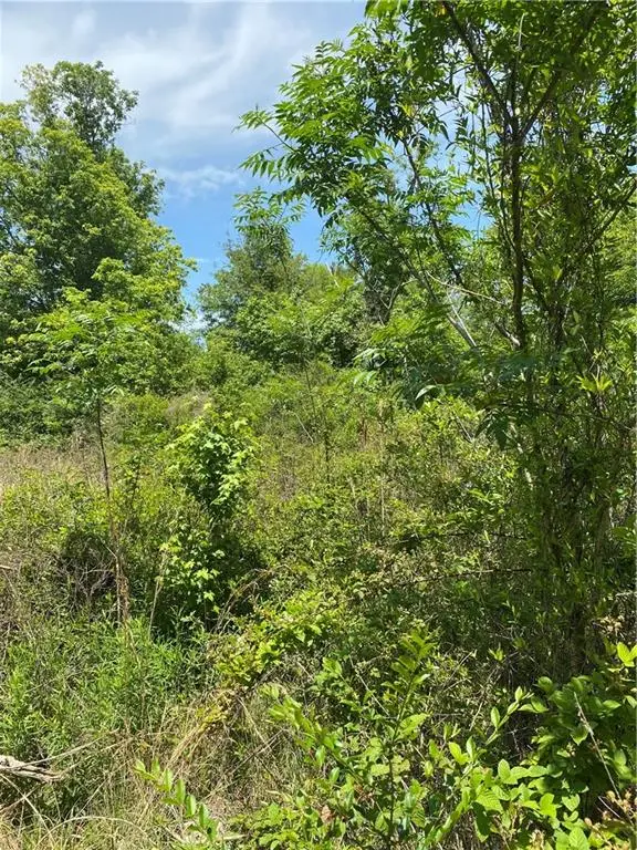 Tbd West Street, Franklinton, LA 70438 - #3