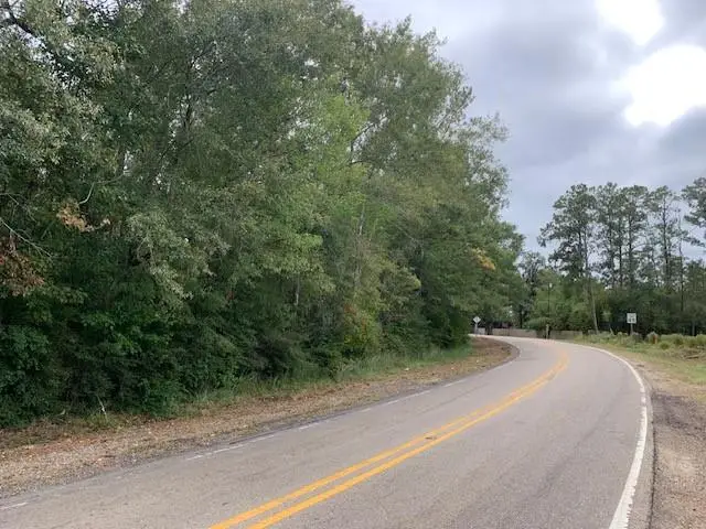 0 Old Covington Hwy 1067 Highway, Hammond, LA 70401 - #2