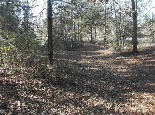 Lot 1 - 0 Stilley Road, Pineville, LA 71360 - #3