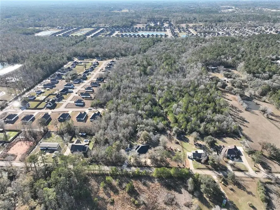 +/-93.73 Acres Brown Road, Ponchatoula, LA 70454 - #3