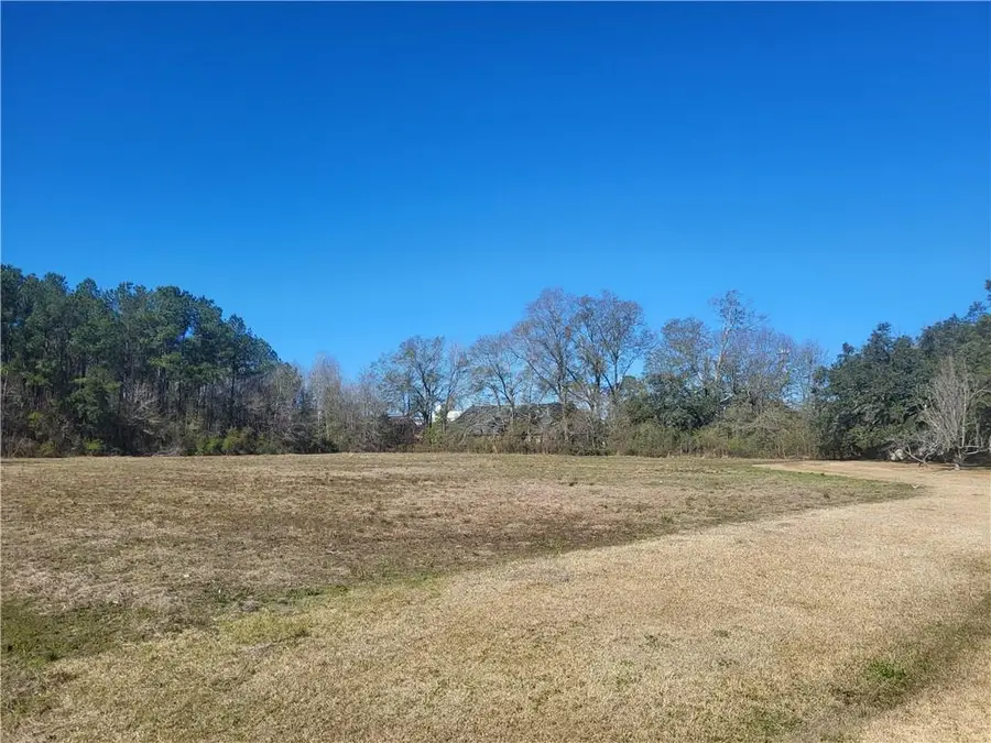 41605 Veterans Avenue, Hammond, LA 70401 - #3