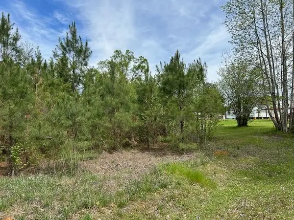 0 Beeson Drive, Ball, LA 71405