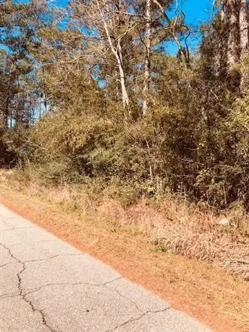 29227 Pacquet Road, Lacombe, LA 70445 - Image #2