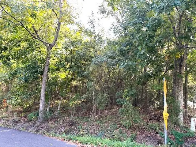 561 Colbert (livingston Corner) 35 Street, Mandeville, LA 70448 - #1