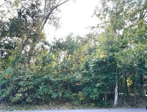 561 Colbert (livingston Corner) 35 Street, Mandeville, LA 70448 - #3