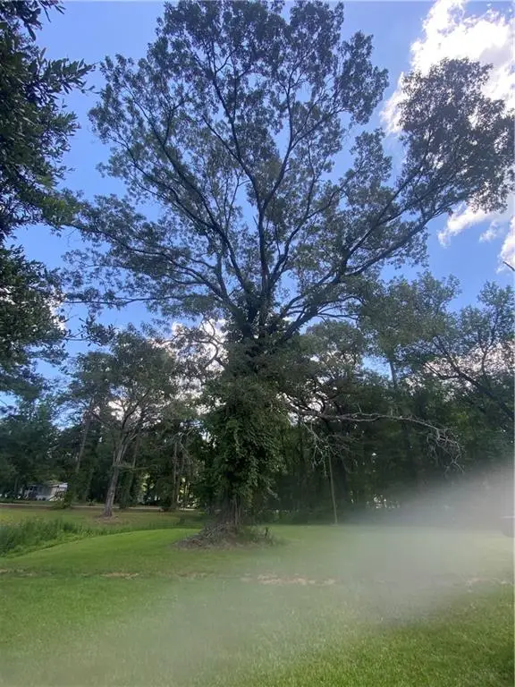 TBD Kastanek Road, Deville, LA 71328 - Image #2