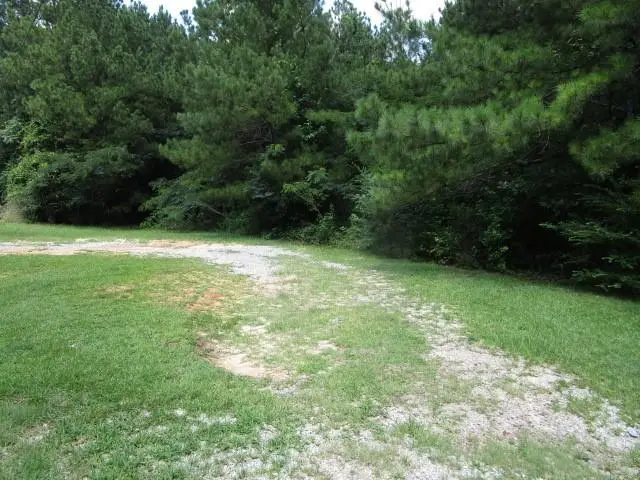 0 Homer Street, Pollock, LA 71467 - #2