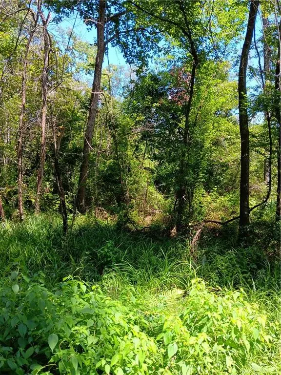 TBD Louise Street, Port Vincent, LA 70726 - Image #2