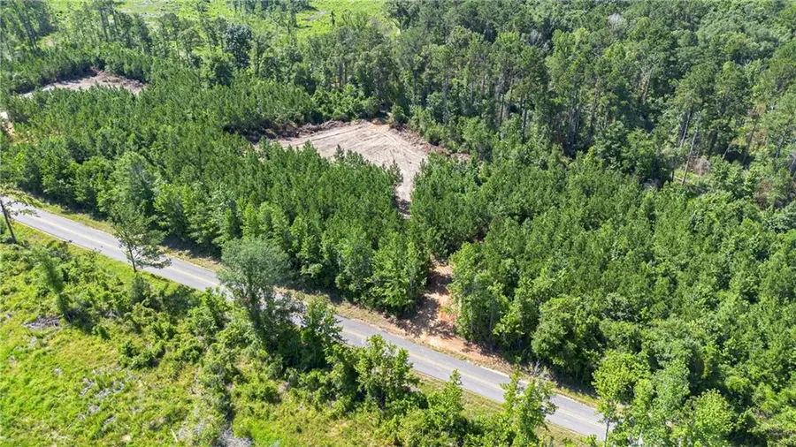 Lot B Ten Mile Road, Pitkin, LA 70656 - #2