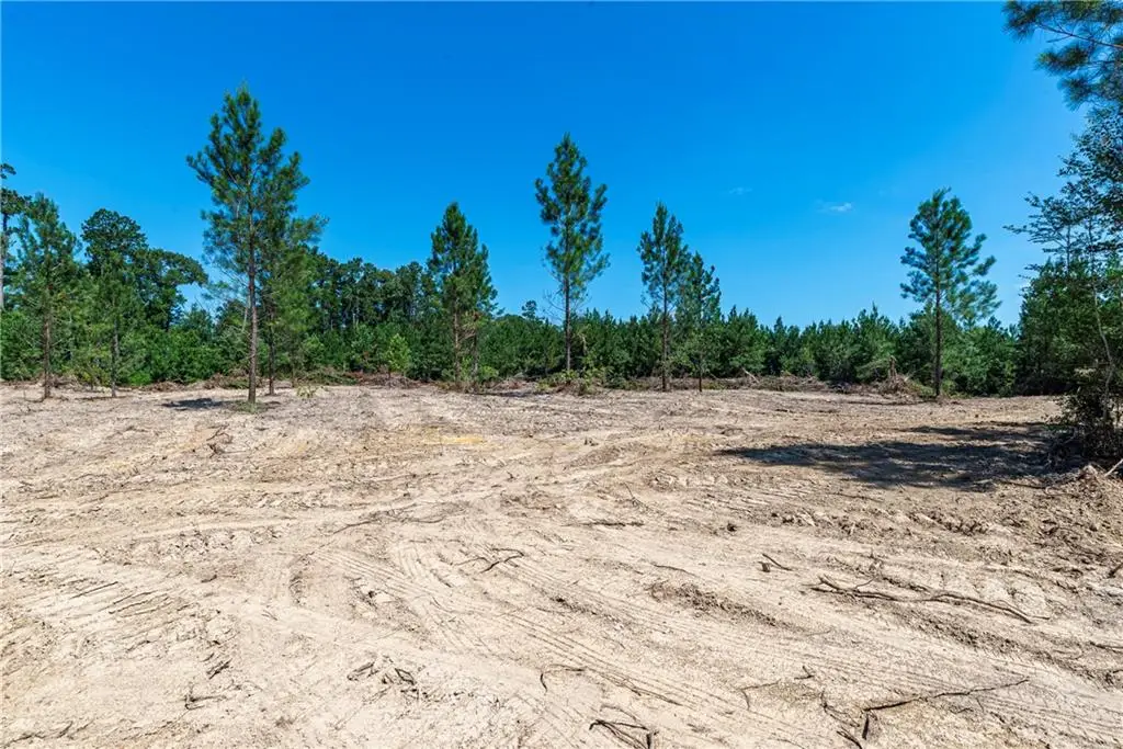 Lot 3 Ten Mile Road, Pitkin, LA 70656 - #1