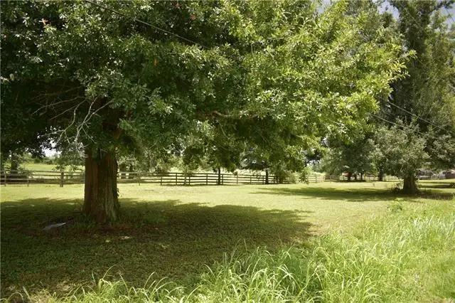 LOT 2 Twin Oaks Drive, Raceland, LA 70394 - Image #2
