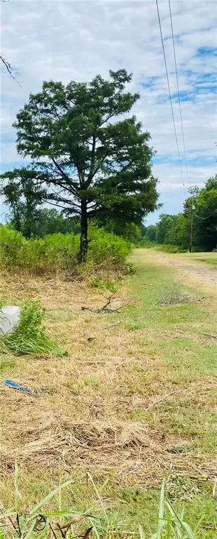 770 Mckeithen Drive, Alexandria, LA 71303 - Image #3